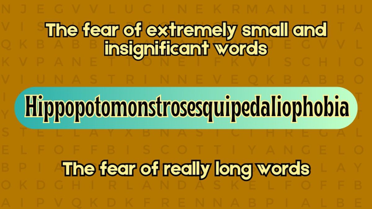 Weird Words Top or Bottom Definition Edition image number null